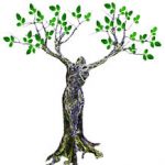 The Miracle Tree