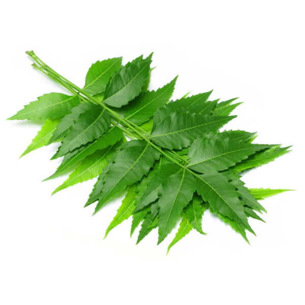 Neem Oil