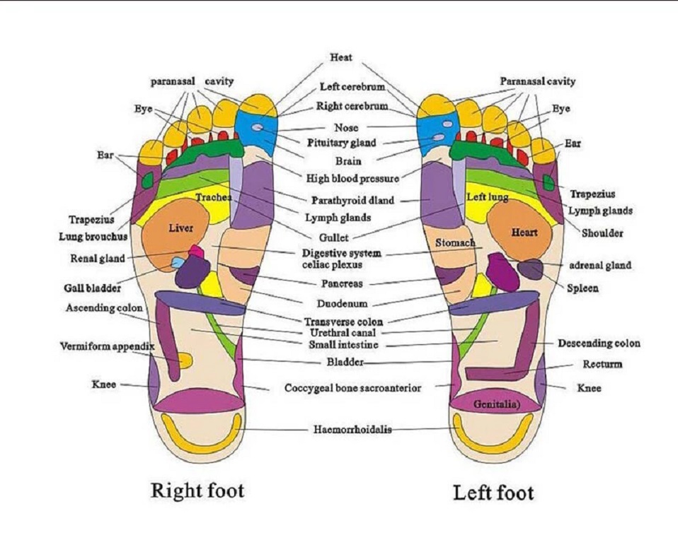 Massage Sandal For ASMR