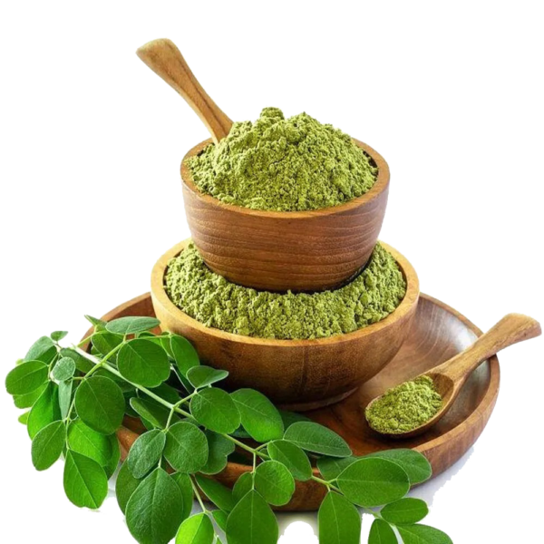 Moringa Olifera Powder