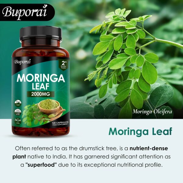 Moringa Leaf Capsules - Image 4